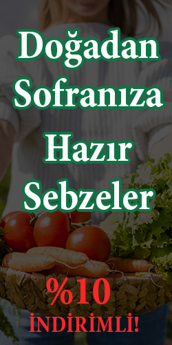 Sebze ürünleri